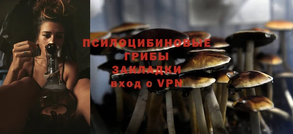 винт Бронницы