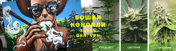 мескалин Богданович