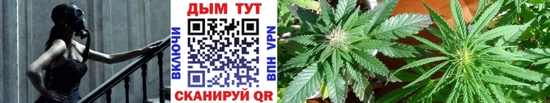Шишки марихуана THC 21% Циолковский